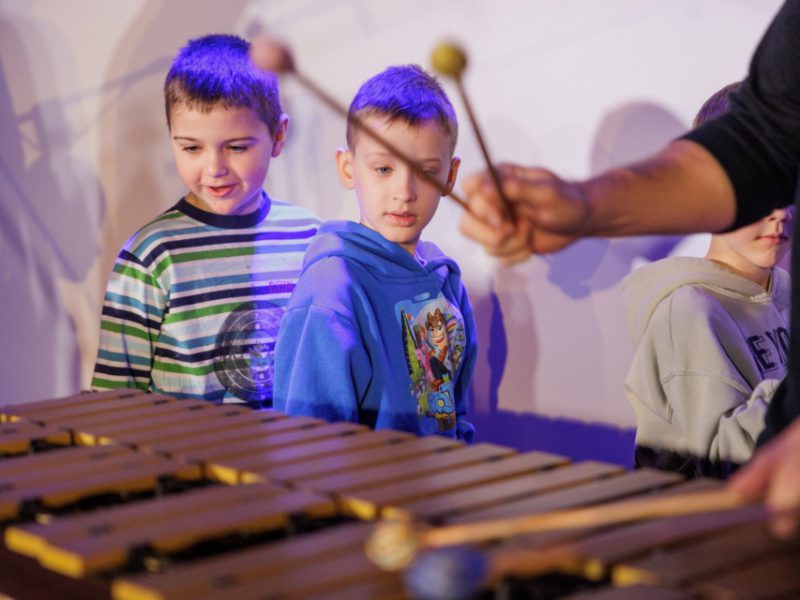 Zdjęcie z warsztatów w ramach Małej Akademii Instrumentów z udziałem Igora Przebindowskiego