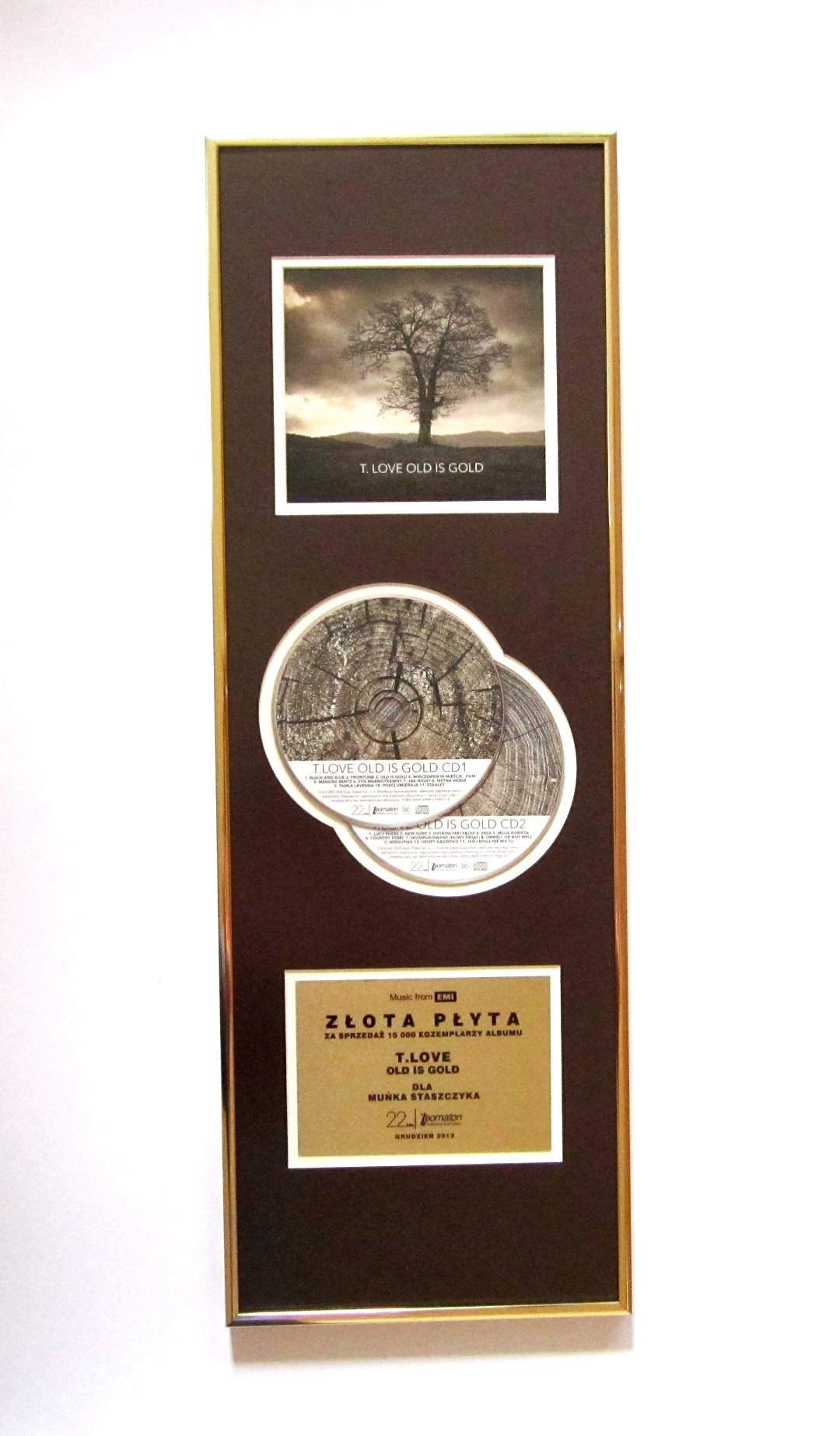 Złota płyta przyznana w grudniu 2012 r. za sprzedaż 15 000 egzemplarzy albumu „Old is Gold” zespołu T.Love.To pierwszy dwupłytowy album grupy z premierowym materiałem. Utrzymany został w klimatach nawiązujących do początków muzyki rockowej – jej bluesowo-countrowo-folkowych korzeni. Wydawnictwo miało swoją premierę 16 października 2012 r. W 2013 r. krążek zdobył Fryderyka w kategorii „Album roku”, a w 2016 r. uzyskał status platynowej płyty.
Prezentowany eksponat został przekazany Muzeum Polskiej Piosenki przez Muńka Staszczyka w 2016 r.